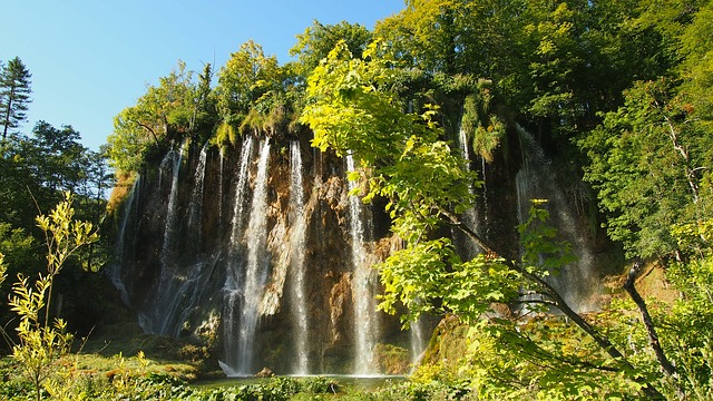 národní park.jpg