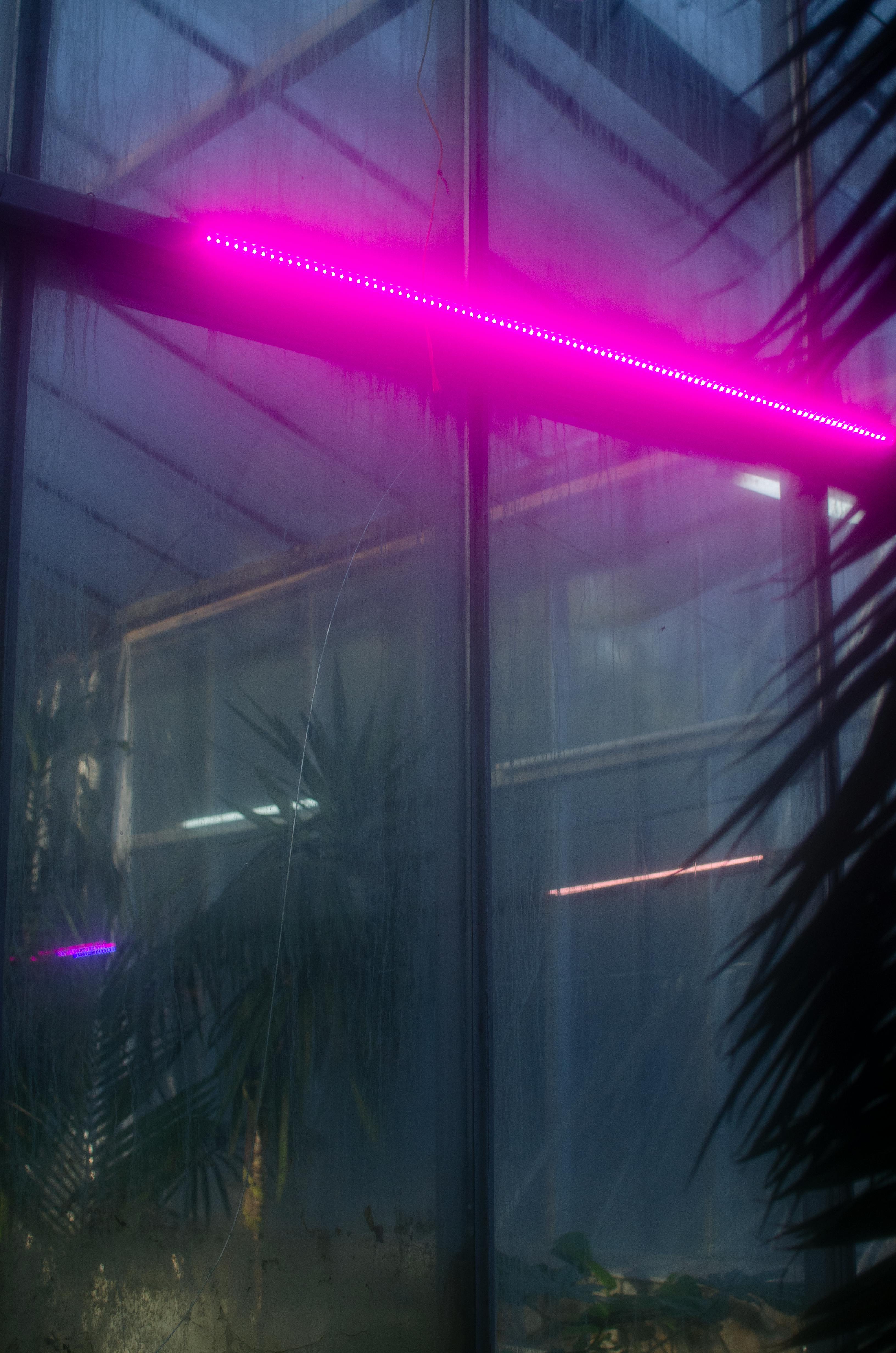 LED pás v zasklenej terase